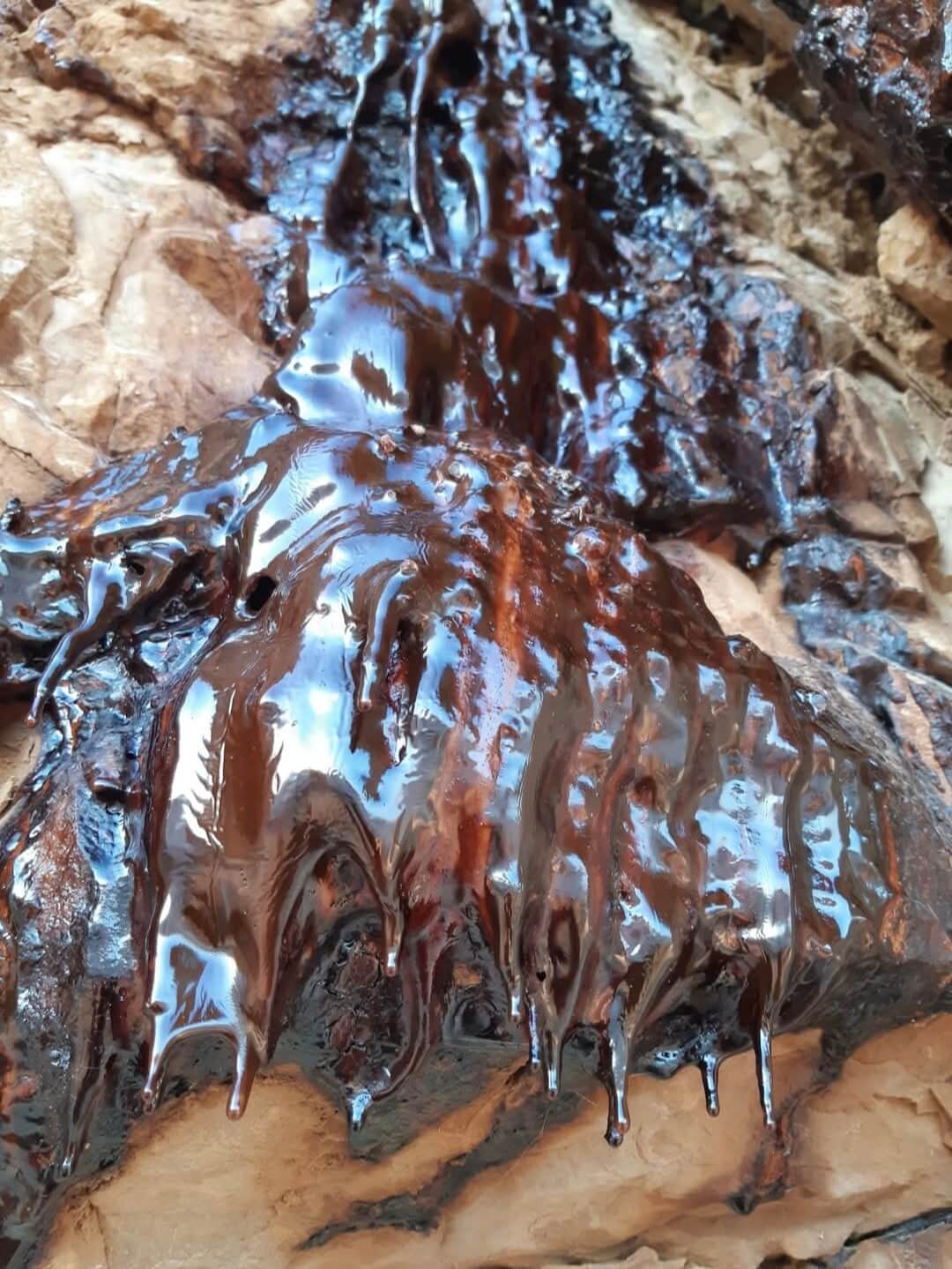 מפלים ונטיפים יפייפיים של שתן שפנים