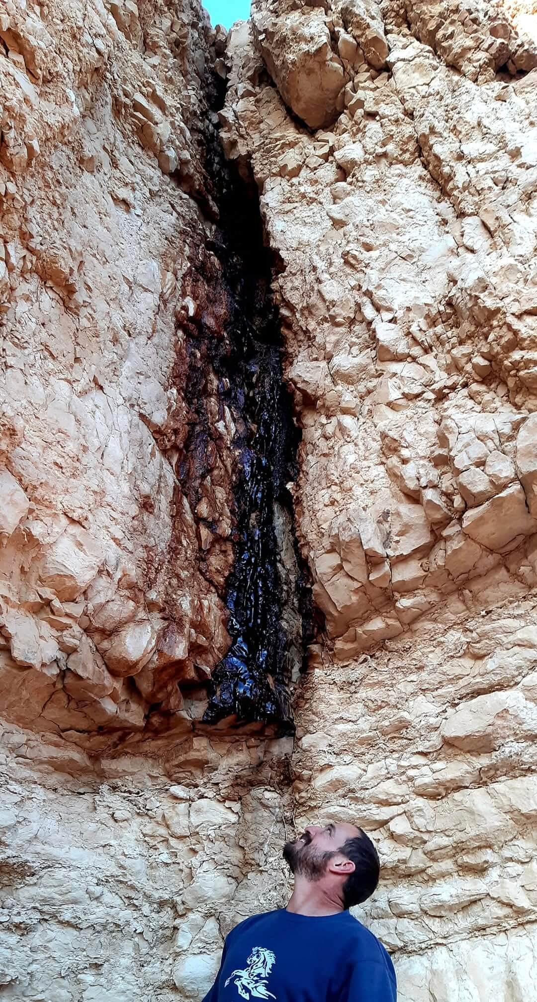 נטיפי שתן שפני סלע